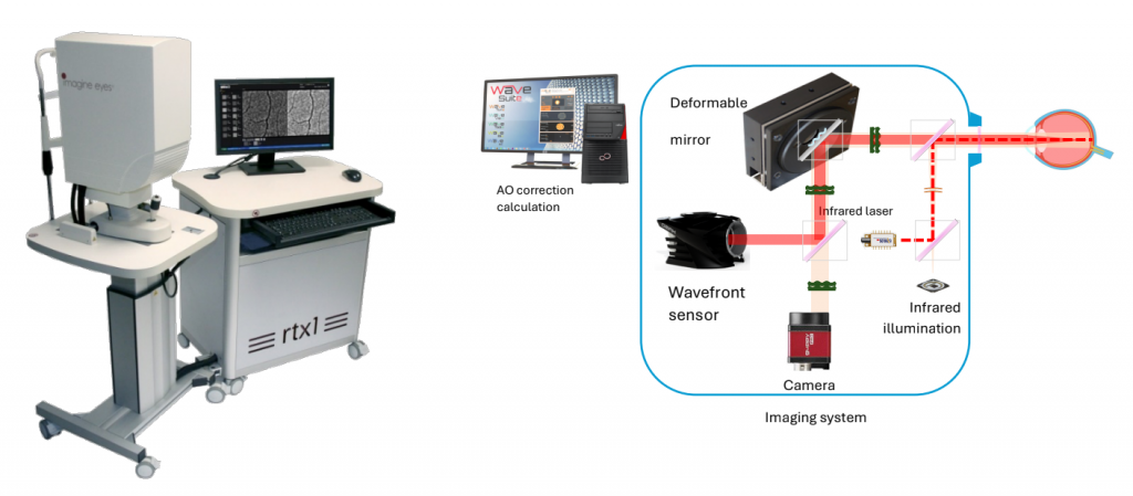 Rtx1 and its imaging system detailed